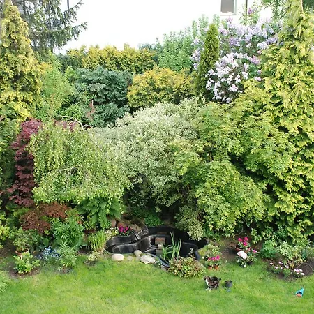 Balladyny * グディニャ